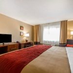 Comfort Inn & Suites Rocklin - Roseville king bed room