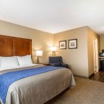 Comfort Inn & Suites Rocklin - Roseville queen bed room