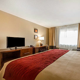 One-King-Bed-Room one king bed room