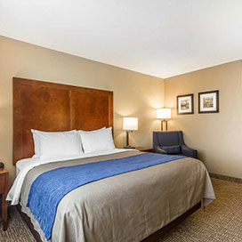 One-Queen-Bed-Room one queen bed room